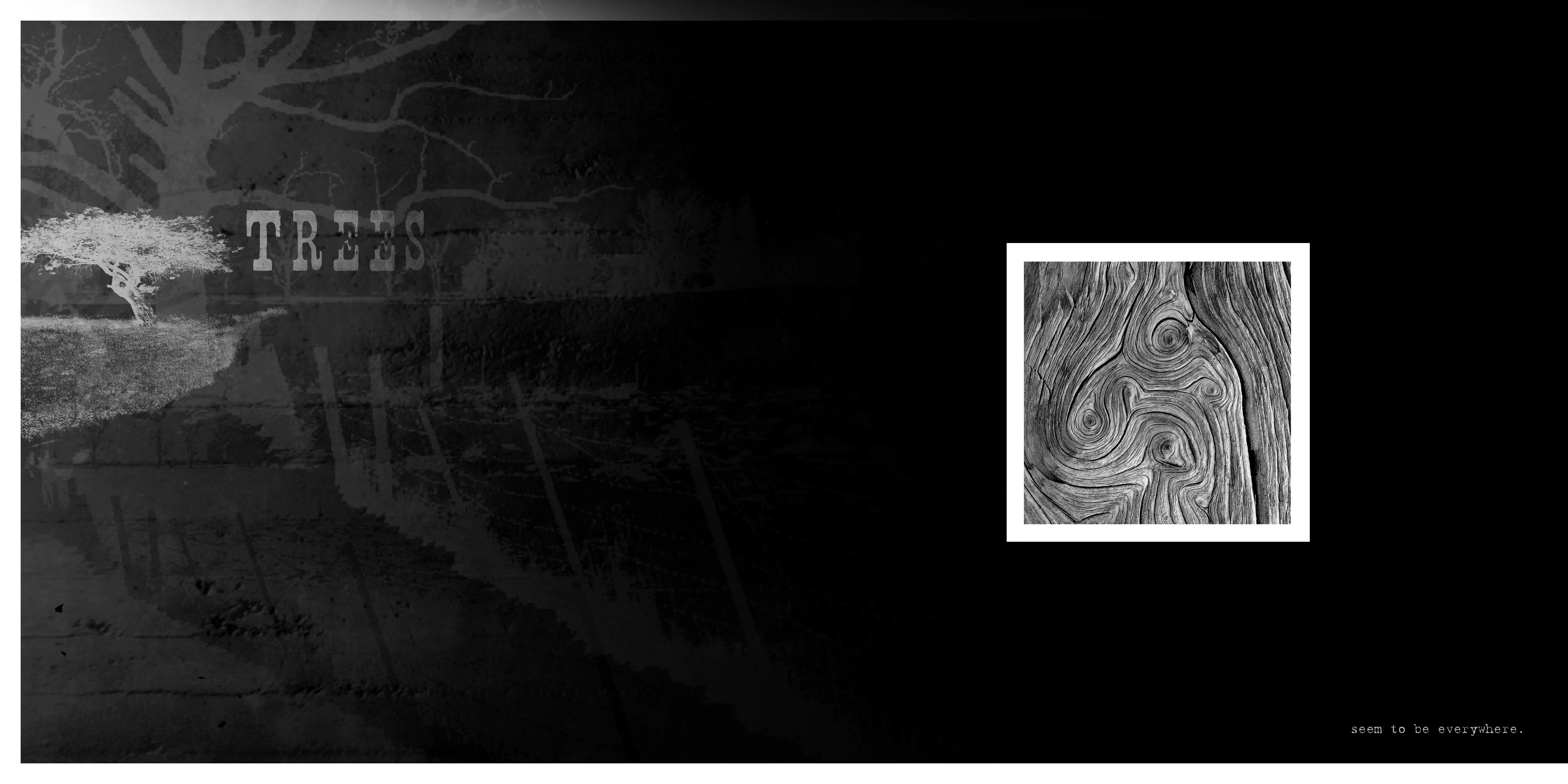 Recycled Paper Greetings Spread 1