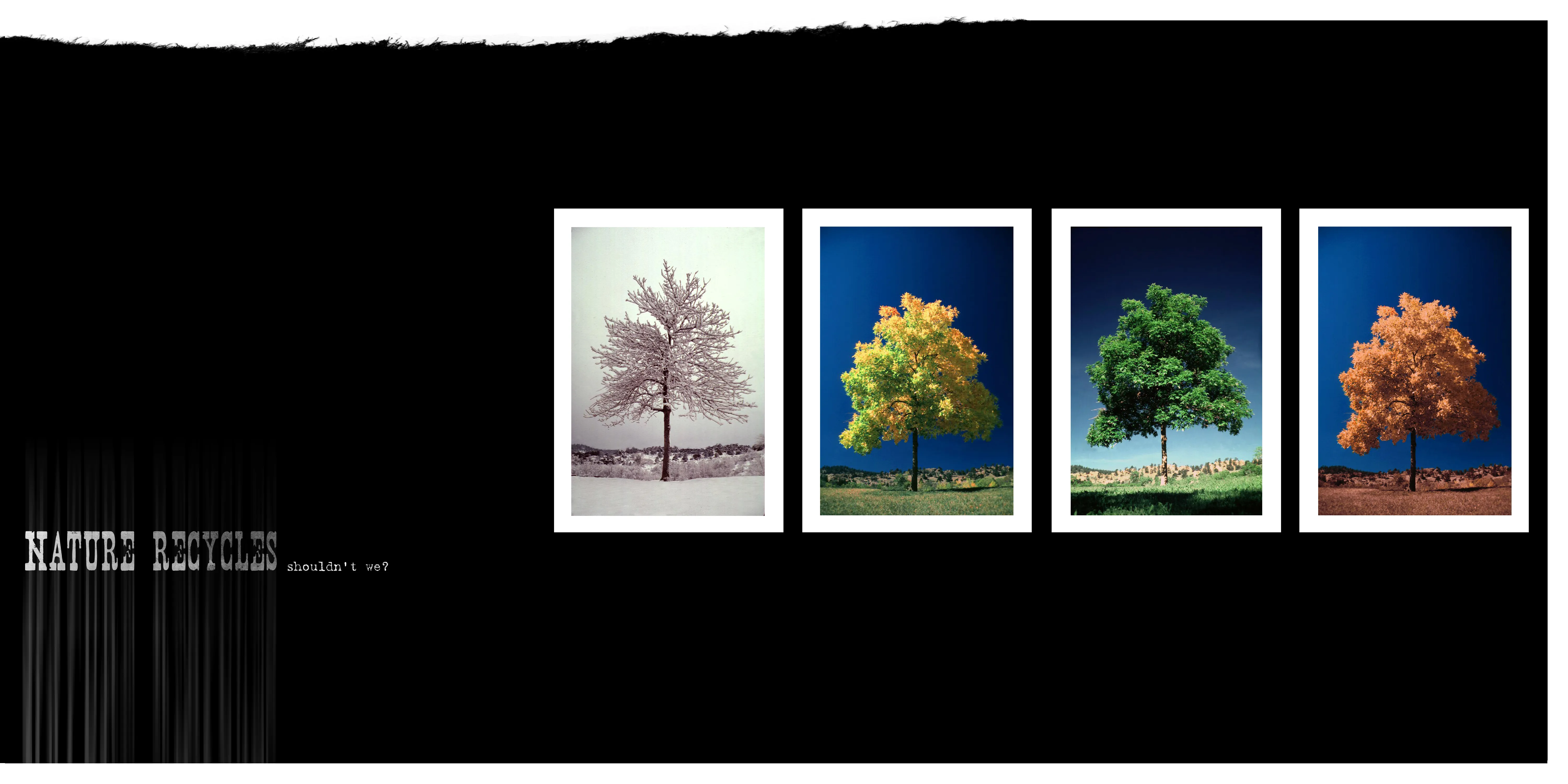 Recycled Paper Greetings Spread 3