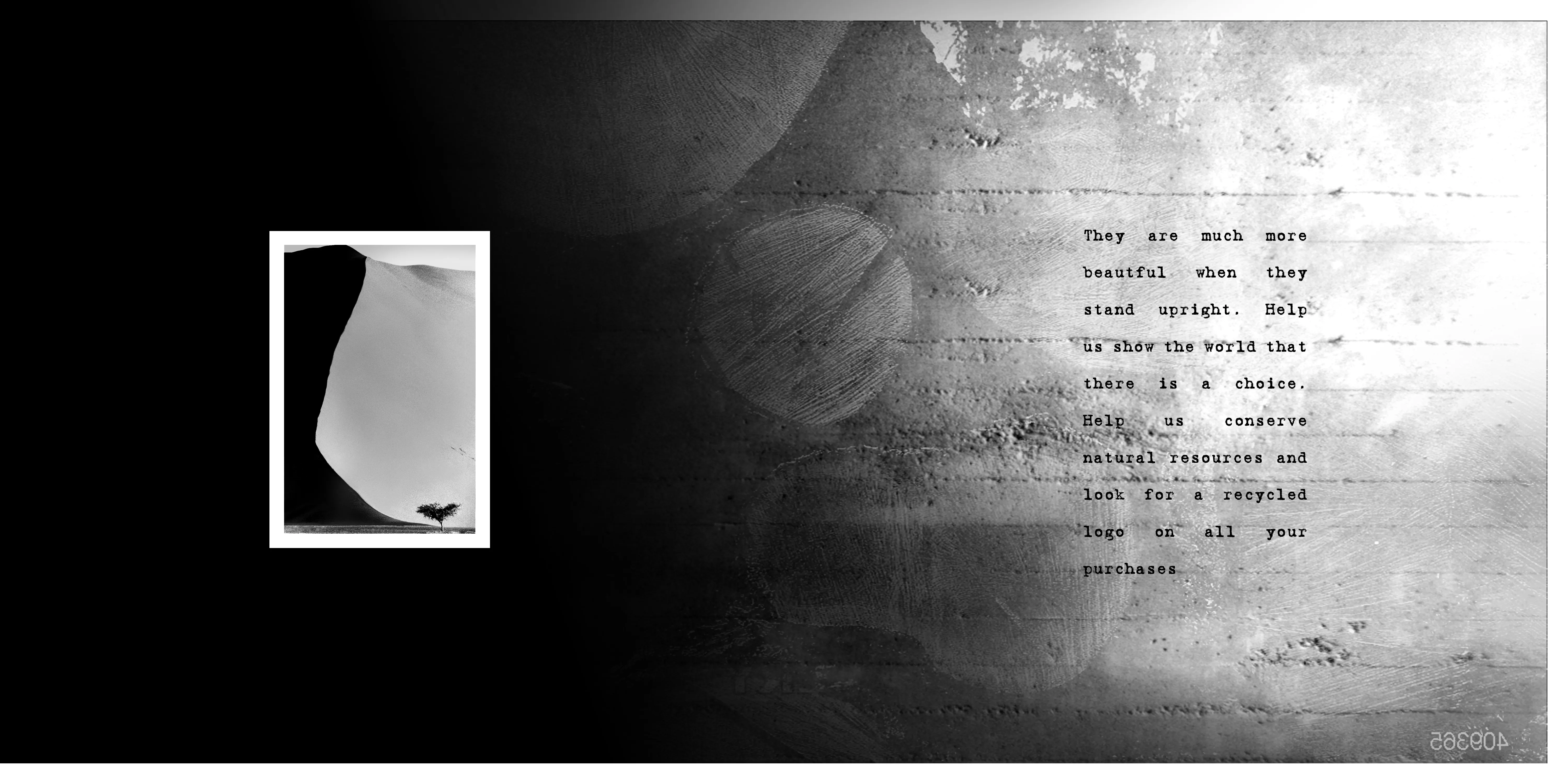 Recycled Paper Greetings Spread 4